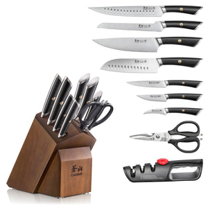 
                  
                    Load image into Gallery viewer, ELBERT Series 10-Piece Knife Block Set, Forged German Steel
                  
                